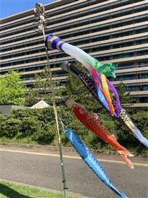 こいのぼり