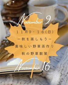 秋のマチナカ野草散策