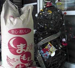 目印・高さ1メートル位の『かずら』作りのダルマさんがいます